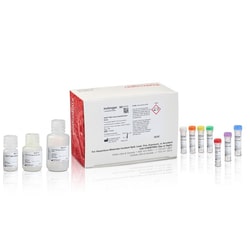 Invitrogen&trade;&nbsp;Qubit NGS Library Quantification Assay Kit