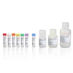 Invitrogen Qubit NGS Library Quantification Assay Kit 1 Ea. | Buy Online | Invitrogen&trade; | Fisher Scientific