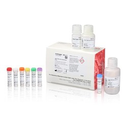 Invitrogen Qubit NGS Library Quantification Assay Kit 1 Ea. | Buy Online | Invitrogen&trade; | Fisher Scientific