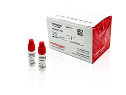 Invitrogen ReadyProbes Reagent F-Actin Phalloidin Conjugates Red-Orange | Buy Online | Invitrogen&trade; | Fisher Scientific
