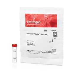 Invitrogen&trade;&nbsp;SiteClick&trade; Qdot&trade; DIBO