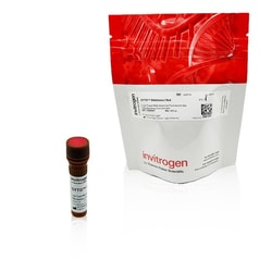 Invitrogen&trade;&nbsp;SYTO&trade; RNASelect&trade; Red
