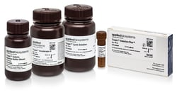 Invitrogen Galacto-Light Plus -Galactosidase Reporter Gene Assay System 200 Assays | Buy Online | Invitrogen&trade; | Fisher Scientific