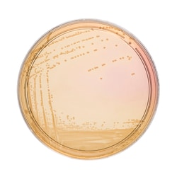 Thermo Scientific D.C.L.S. Agar D.C.L.S. Agar | Buy Online | Thermo Scientific&trade; | Fisher Scientific