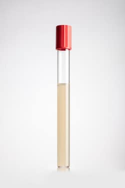 Thermo Scientific™ Schaedler Broth (with Haemin and Vitamin K) (Tube)