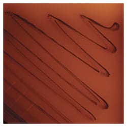 Thermo Scientific&trade;&nbsp;Culti-Loops&trade; Streptococcus spp. Gruppe B ATCC&reg; 12401&trade;