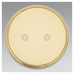 Thermo Scientific™ Remel™ BHI Agar with Vancomycin