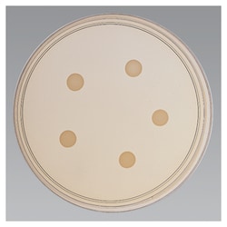 Thermo Scientific™ Mueller Hinton Agar w/4% NaCl, 6μg/mL Oxacillin