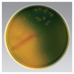 Thermo Scientific™ OFPBL Medium