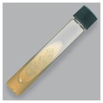 Thermo Scientific™ Remel™ Tryptic Soy Agar