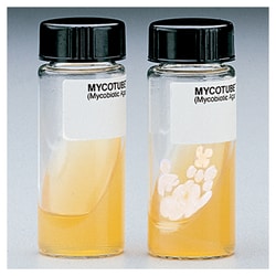 Thermo Scientific Mycobiotic Agar (MycoTube) with Chloramphenicol, Cycloheximide Pack of 10 | Buy Online | Thermo Scientific&trade; | Fisher Scientific