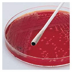 Thermo Scientific™ Remel™ Oxy-Swab™